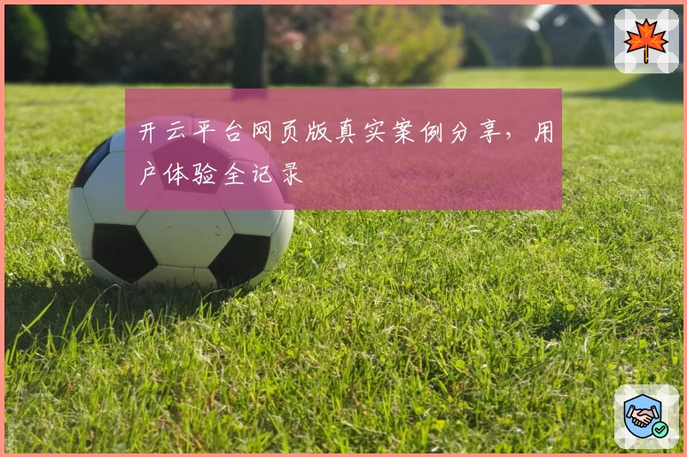 开云平台网页版真实案例分享，用户体验全记录